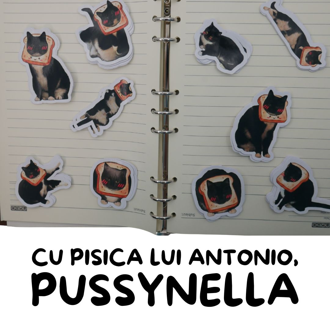 Set 10 Stickere Pussynella/PISICA